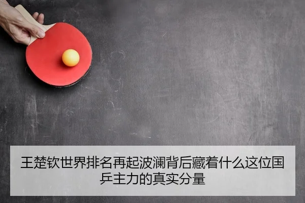 王楚钦世界排名再起波澜背后藏着什么这位国乒主力的真实分量